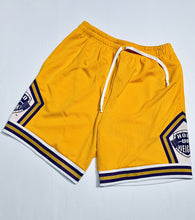 Basketball Shorts 🏀 Team Colors. Top Quality!!!